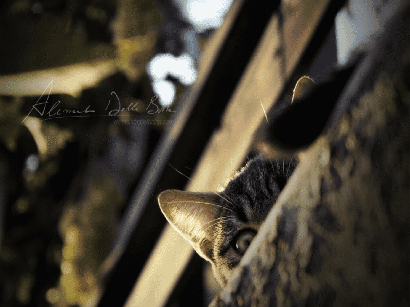 沈阳试管加藤移植，试管婴儿大龄女生